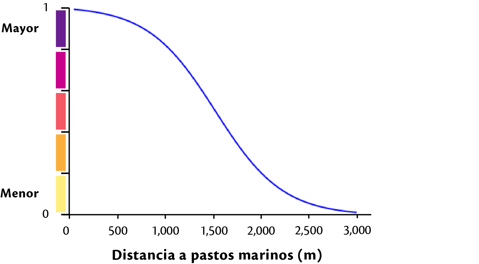 _images/fv_c_res_veg_acuatica.png