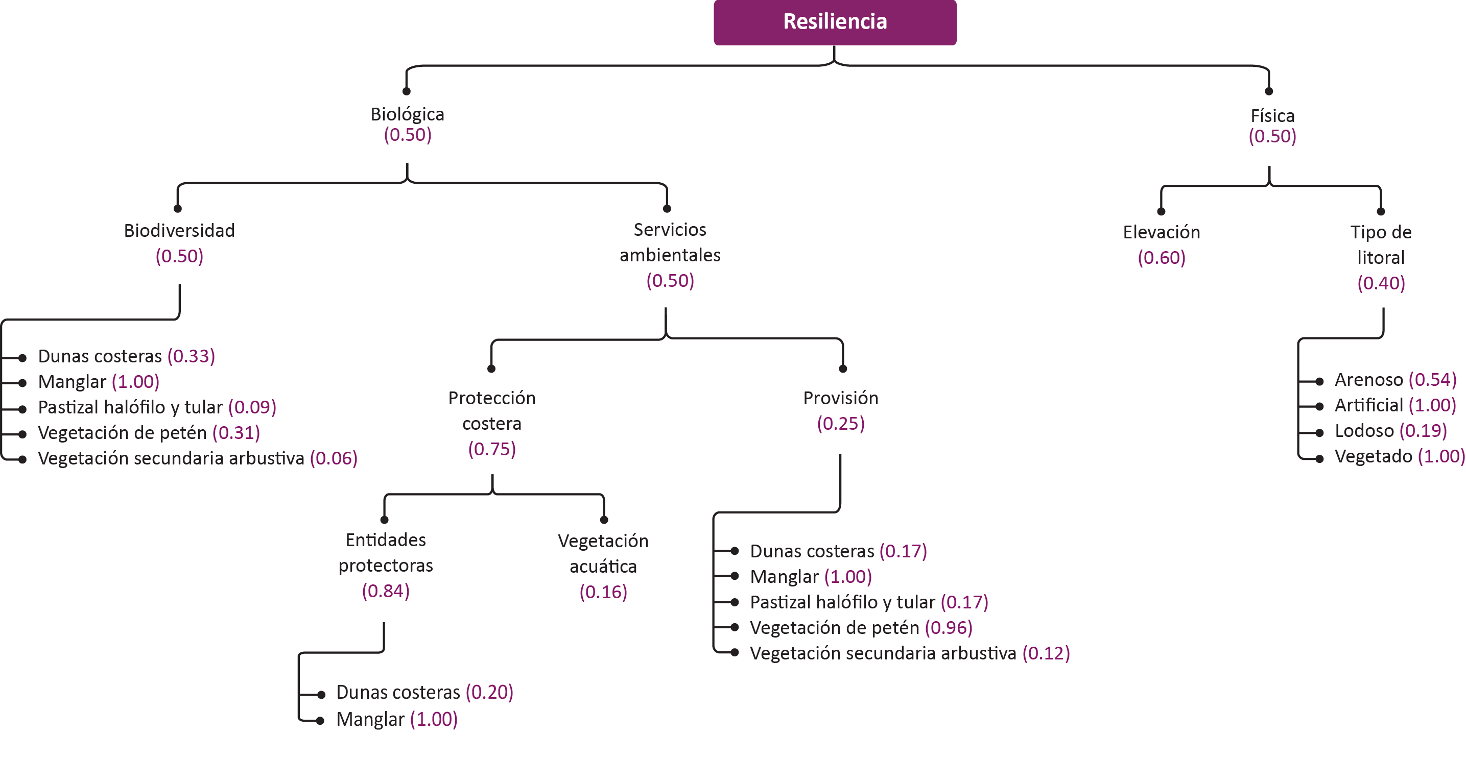 _images/vulnerabilidad_resiliencia_fv_23nov2020.png