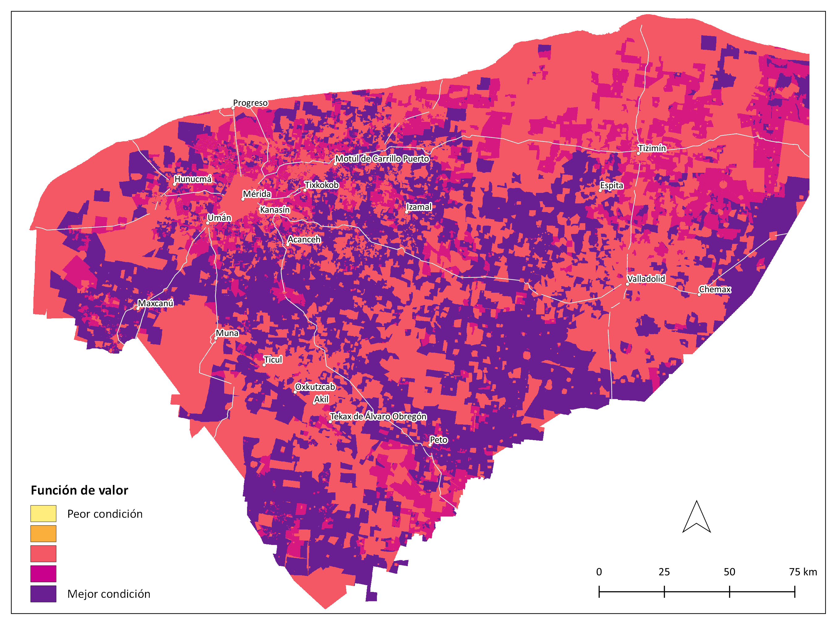 _images/mapa_fv_for_mad_socio_tenencia_tierra.png