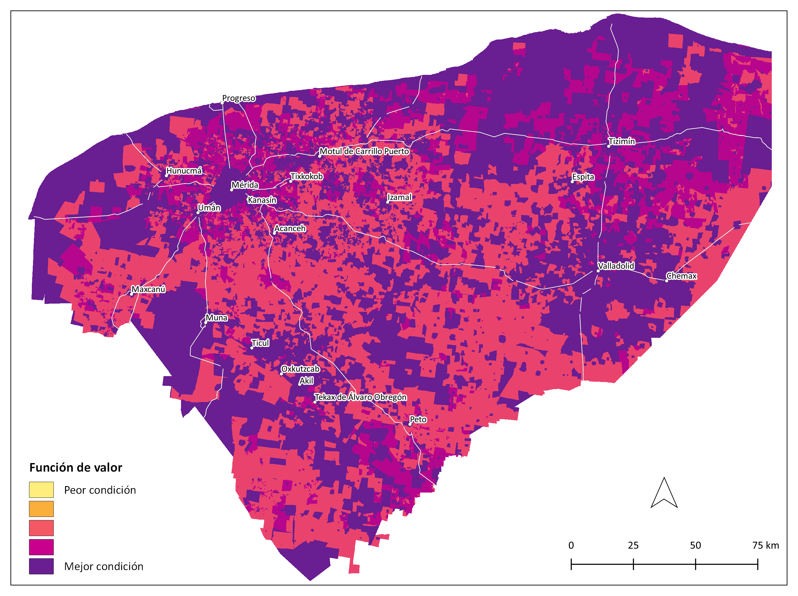 _images/mapa_fv_for_mad_socio_tenencia_tierra_v2.png